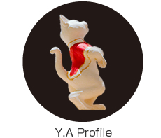Y.A Profile